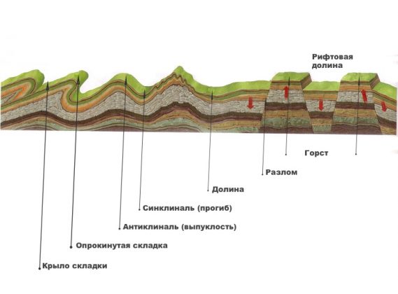 Нарисуйте схему группы горных пород по происхождению